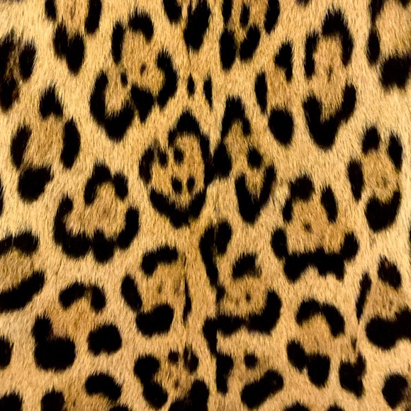 Meet your Posher, Dawn - Picture 1 of 1